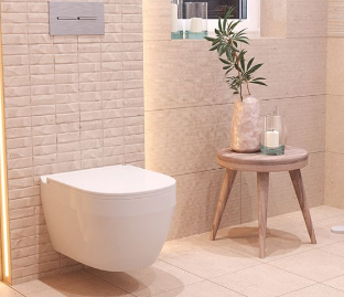 Унитаз подвесной MIRSANT Aura, крышка Soft-Close, безободковый